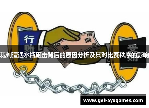 裁判遭遇水瓶砸击背后的原因分析及其对比赛秩序的影响