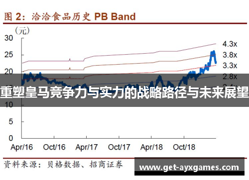 重塑皇马竞争力与实力的战略路径与未来展望 重塑皇马竞争力与实力的战略路径与未来展望