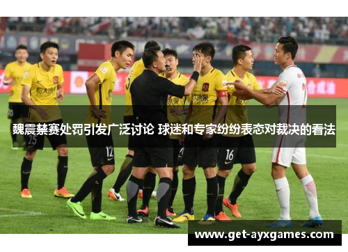 魏震禁赛处罚引发广泛讨论 球迷和专家纷纷表态对裁决的看法