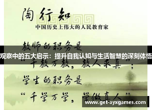 观察中的五大启示：提升自我认知与生活智慧的深刻体悟